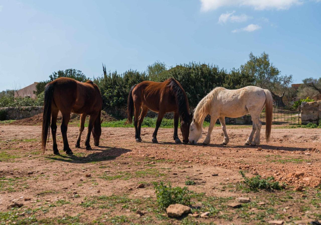 Agroturismo Sa Canoveta Colonia de Sant Jordi Εξωτερικό φωτογραφία
